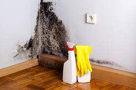 Best HVAC Mold Inspection and Cleaning in USA